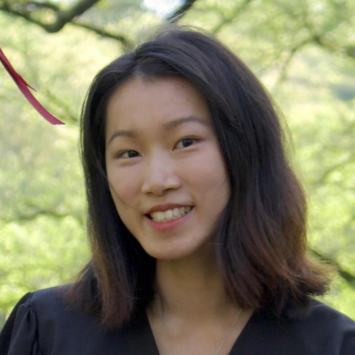 Yik Siu Chan